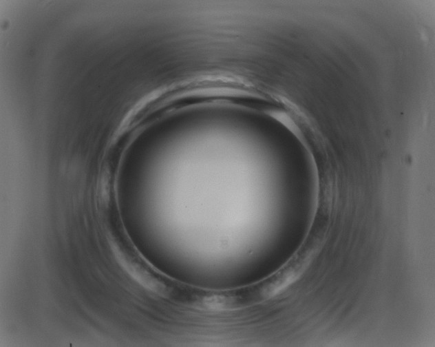 X0000086280064200704051345