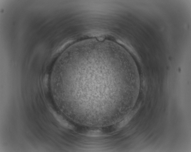 X0000086280066200704051346
