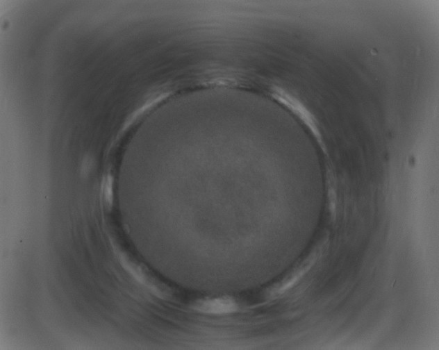 X0000086280067200704051346