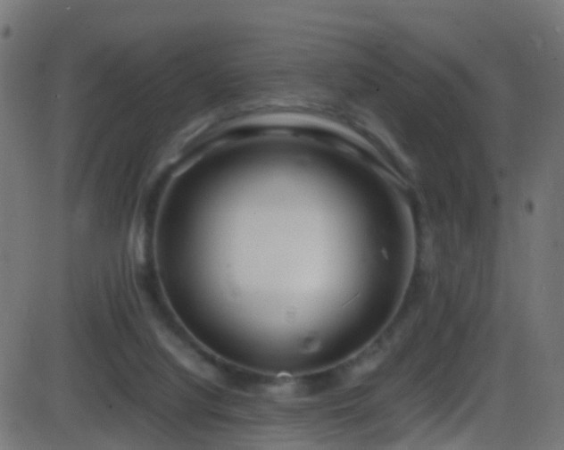 X0000086280068200704051346