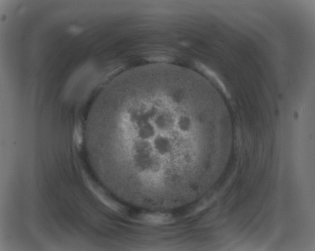 X0000086280069200704051346