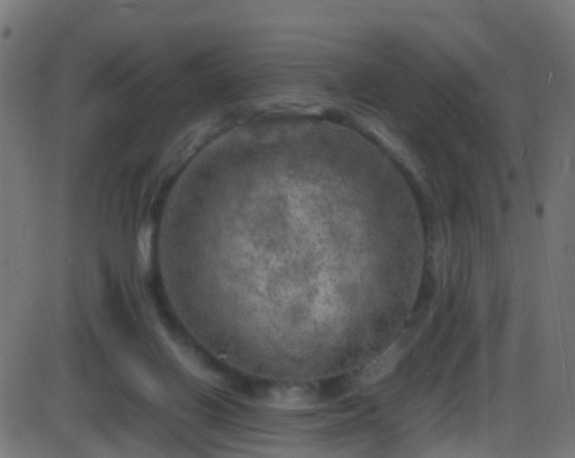 X0000086280070200704051346