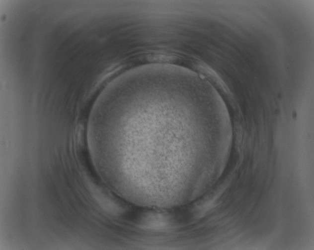 X0000086280071200704051346