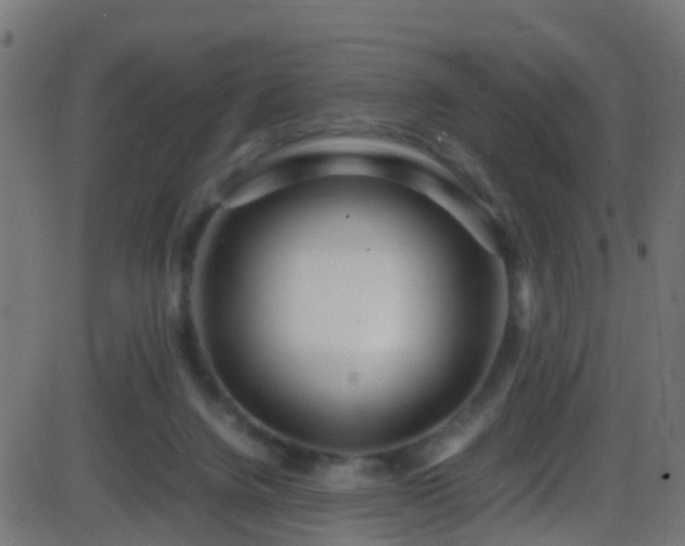 X0000086280072200704051346