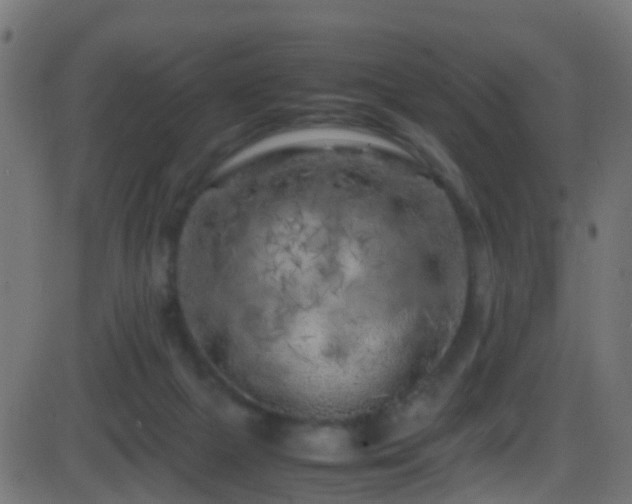 X0000086280073200704051346