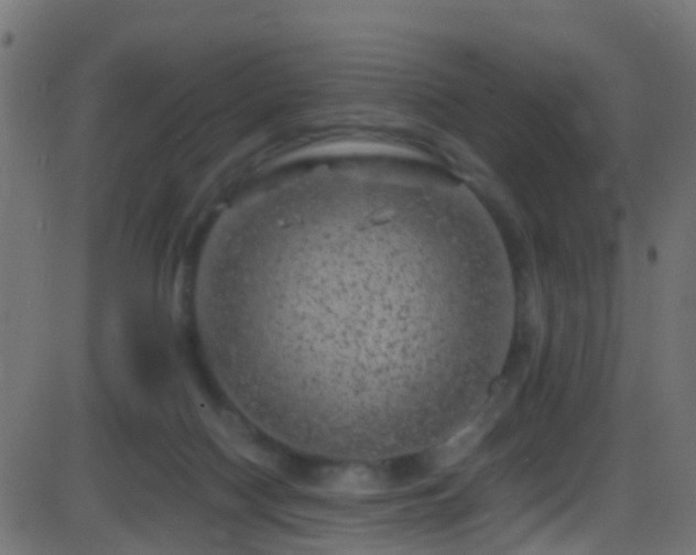 X0000086280074200704051346