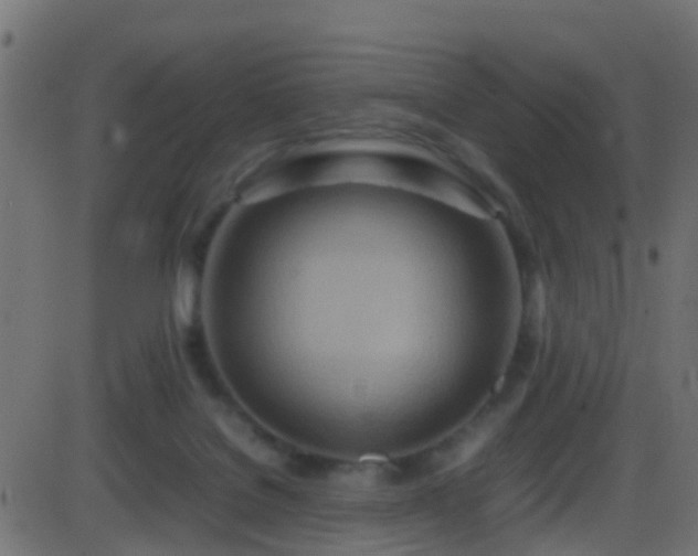 X0000086280076200704051346