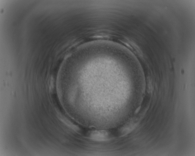 X0000086280077200704051346