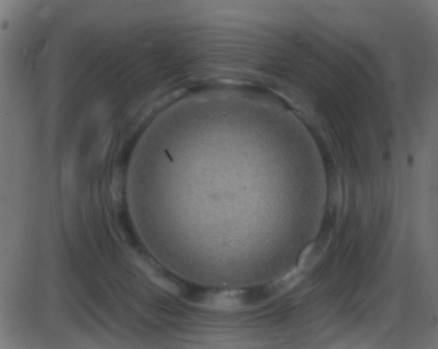 X0000086280078200704051346