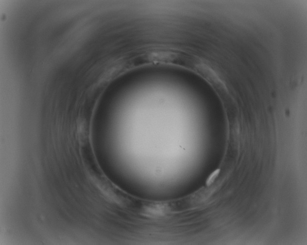 X0000086280079200704051346