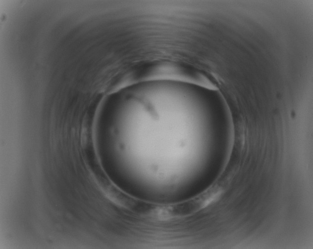 X0000086280080200704051346