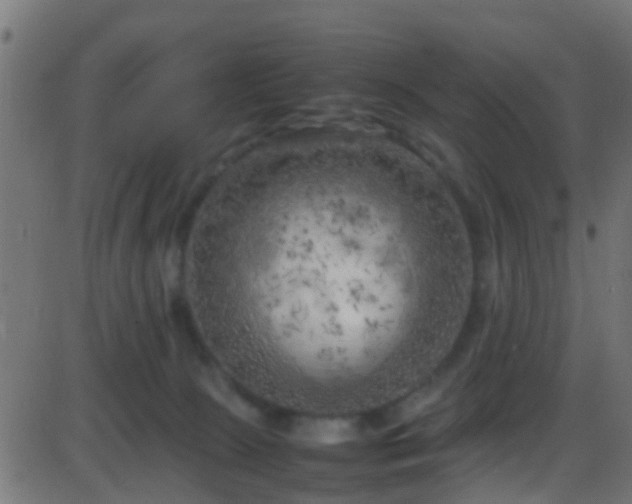 X0000086280081200704051346