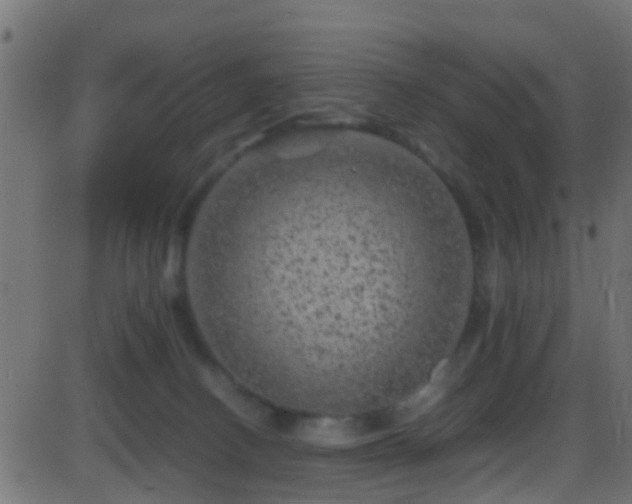 X0000086280082200704051346