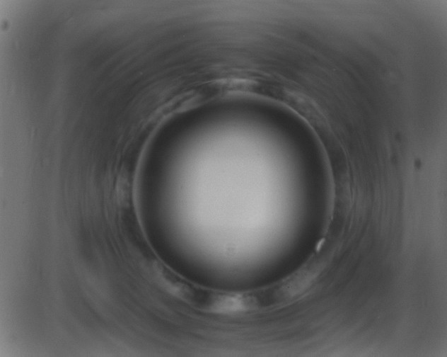 X0000086280083200704051346