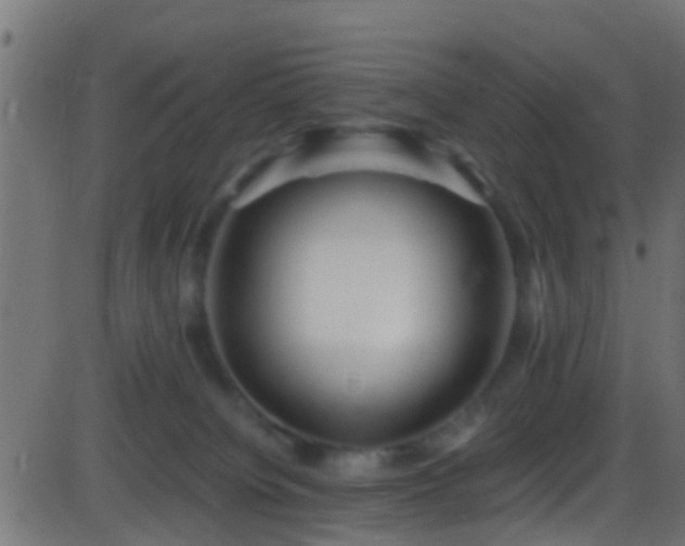 X0000086280084200704051346