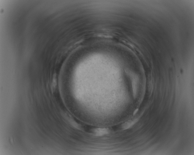 X0000086280085200704051346