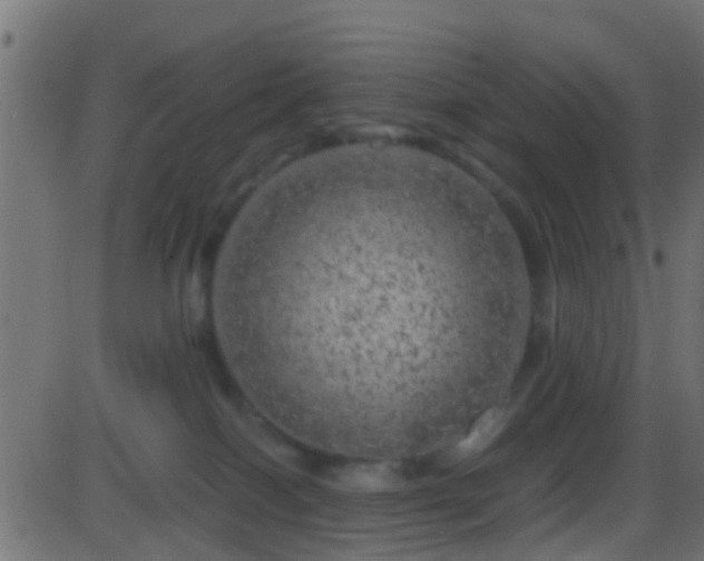 X0000086280086200704051346