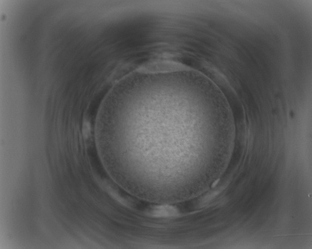 X0000086280087200704051346