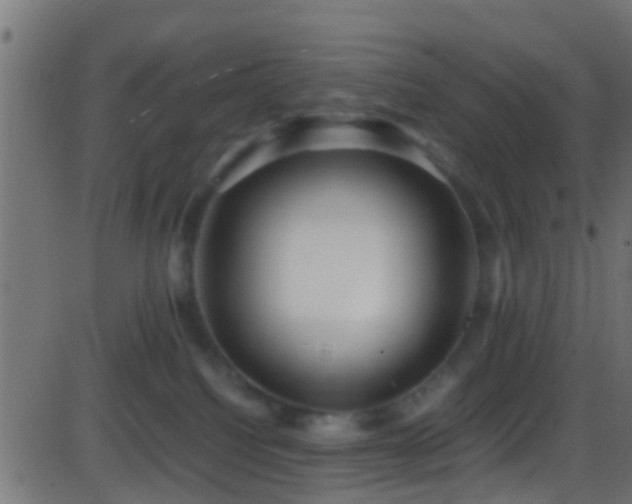 X0000086280088200704051346