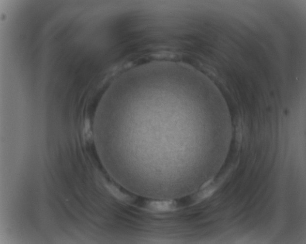 X0000086280089200704051346