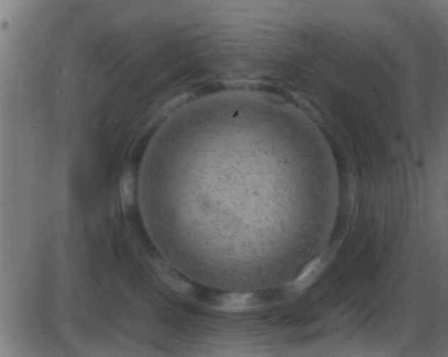 X0000086280090200704051346