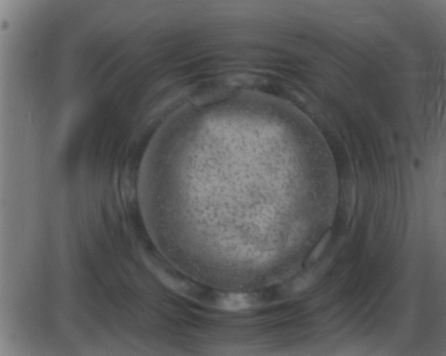 X0000086280091200704051346