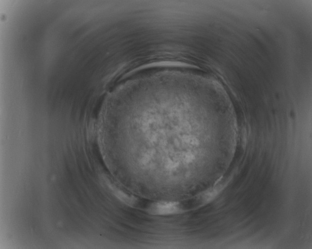 X0000086280093200704051346