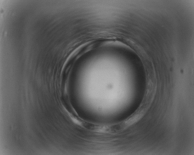 X0000086280096200704051346