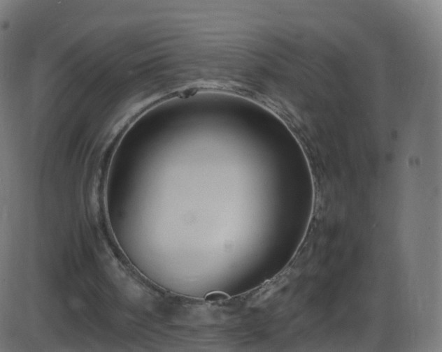 X0000086280098200704051345