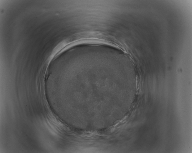 X0000086280099200704051345