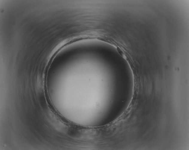 X0000086280100200704051345