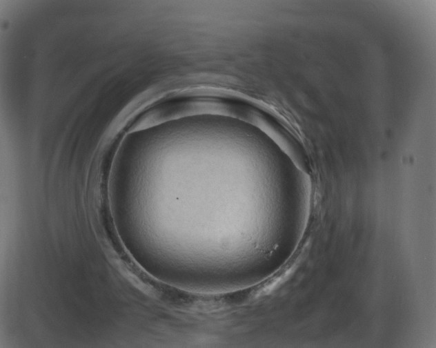 X0000086280101200704051345