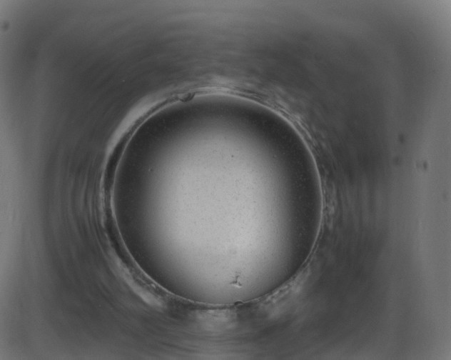 X0000086280102200704051345