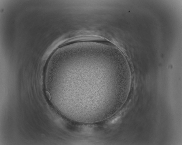 X0000086280103200704051345