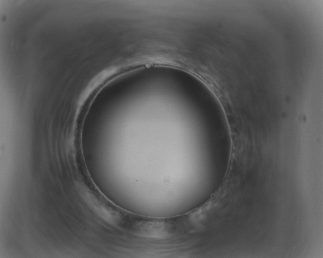 X0000086280104200704051345