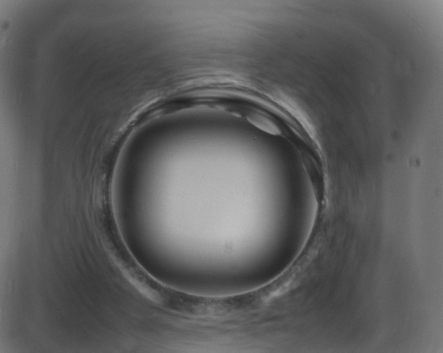 X0000086280105200704051345