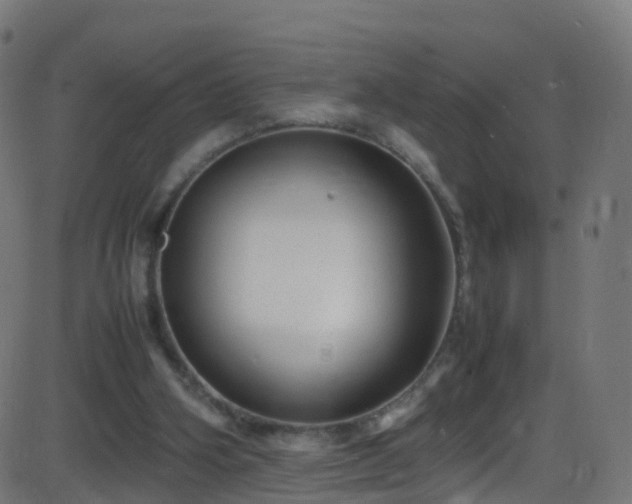 X0000086280106200704051345