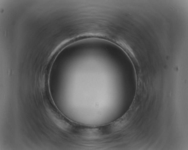 X0000086280108200704051345