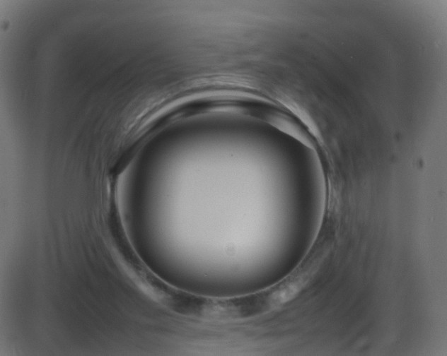 X0000086280109200704051345