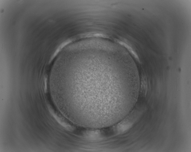 X0000086280110200704051345