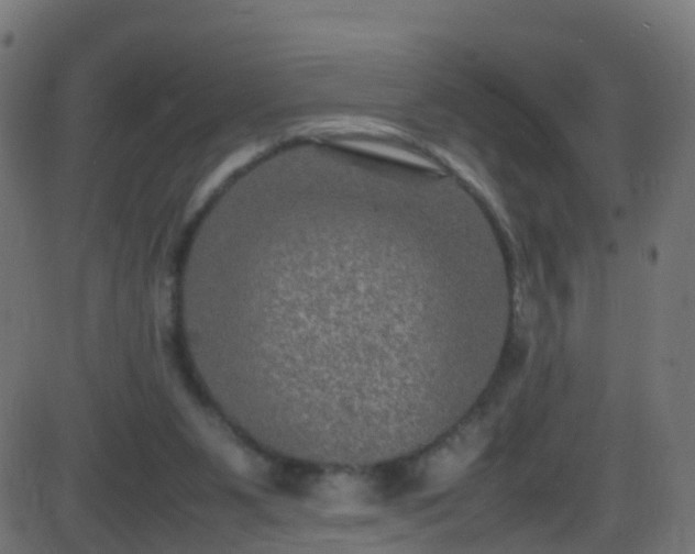 X0000086280111200704051345