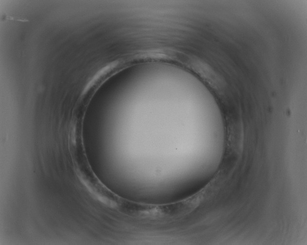 X0000086280112200704051345