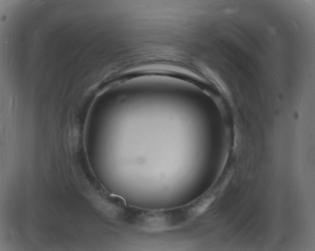 X0000086280113200704051345