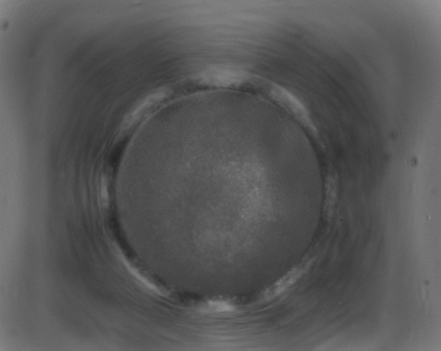 X0000086280114200704051345