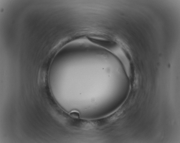 X0000086280115200704051345