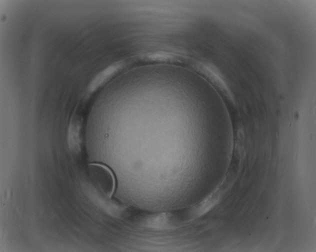 X0000086280116200704051345