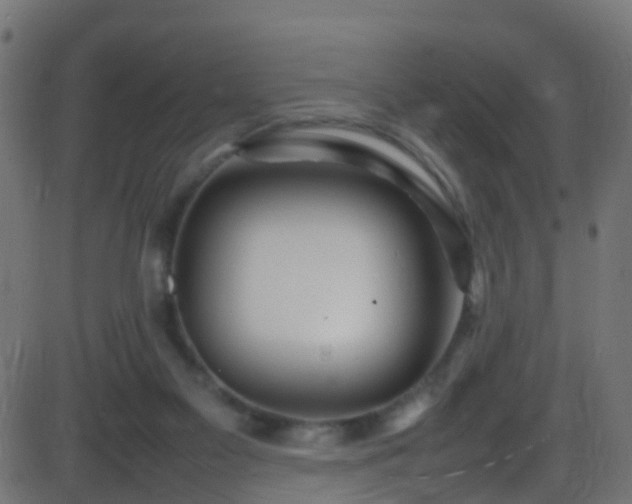 X0000086280117200704051345