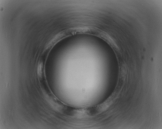 X0000086280118200704051345