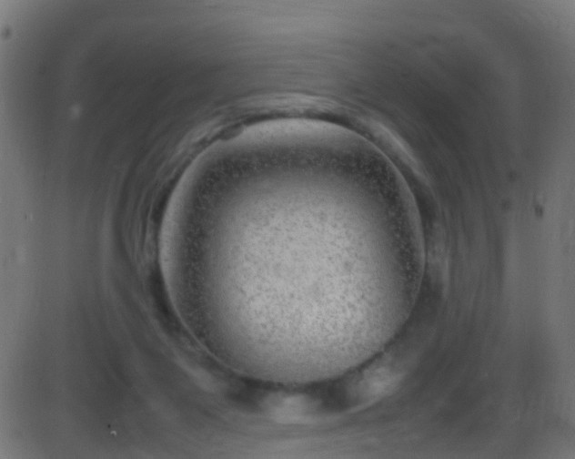 X0000086280119200704051345