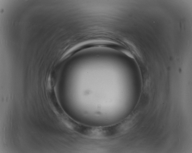 X0000086280121200704051345